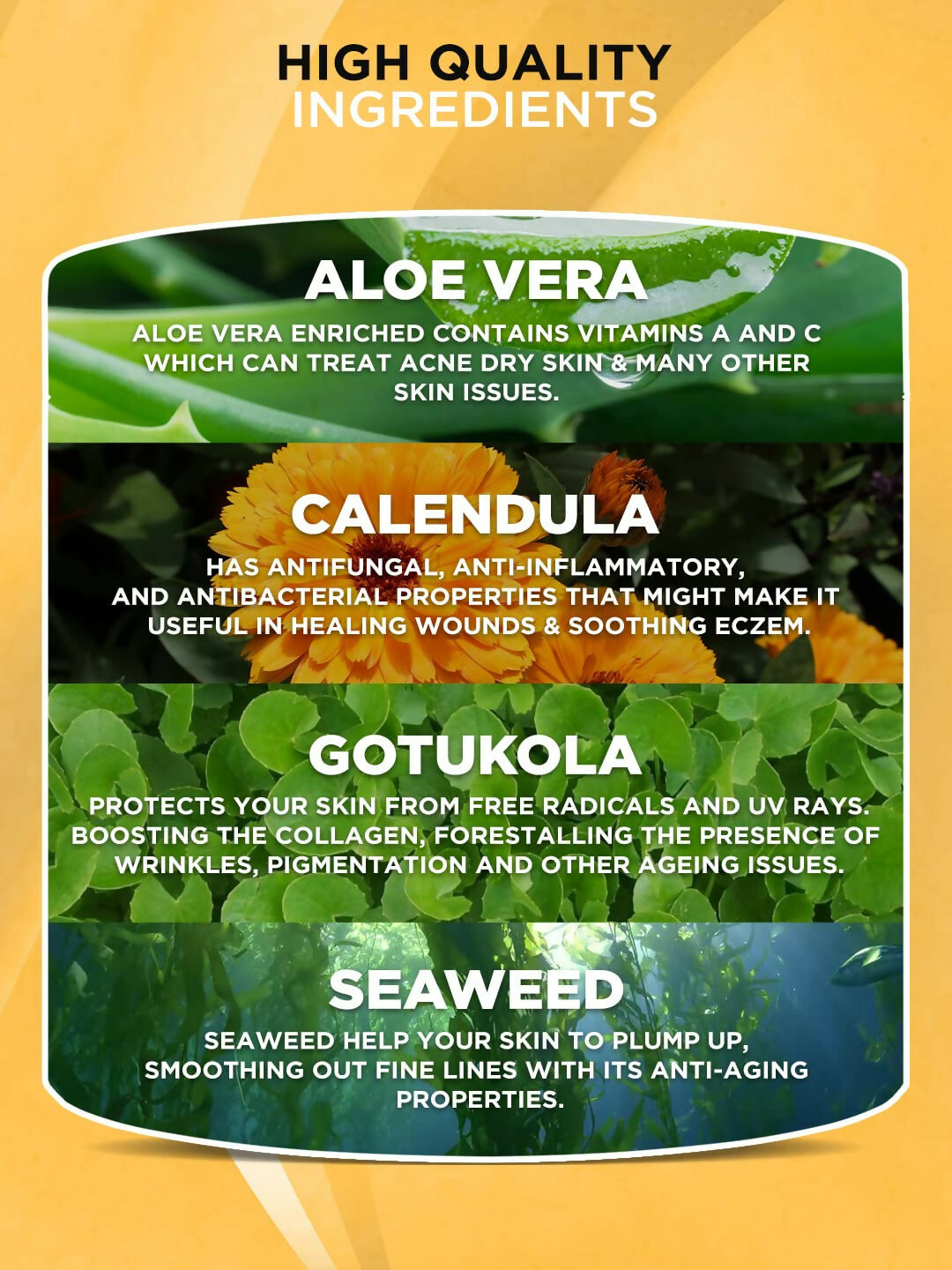 Hydrating cream for men