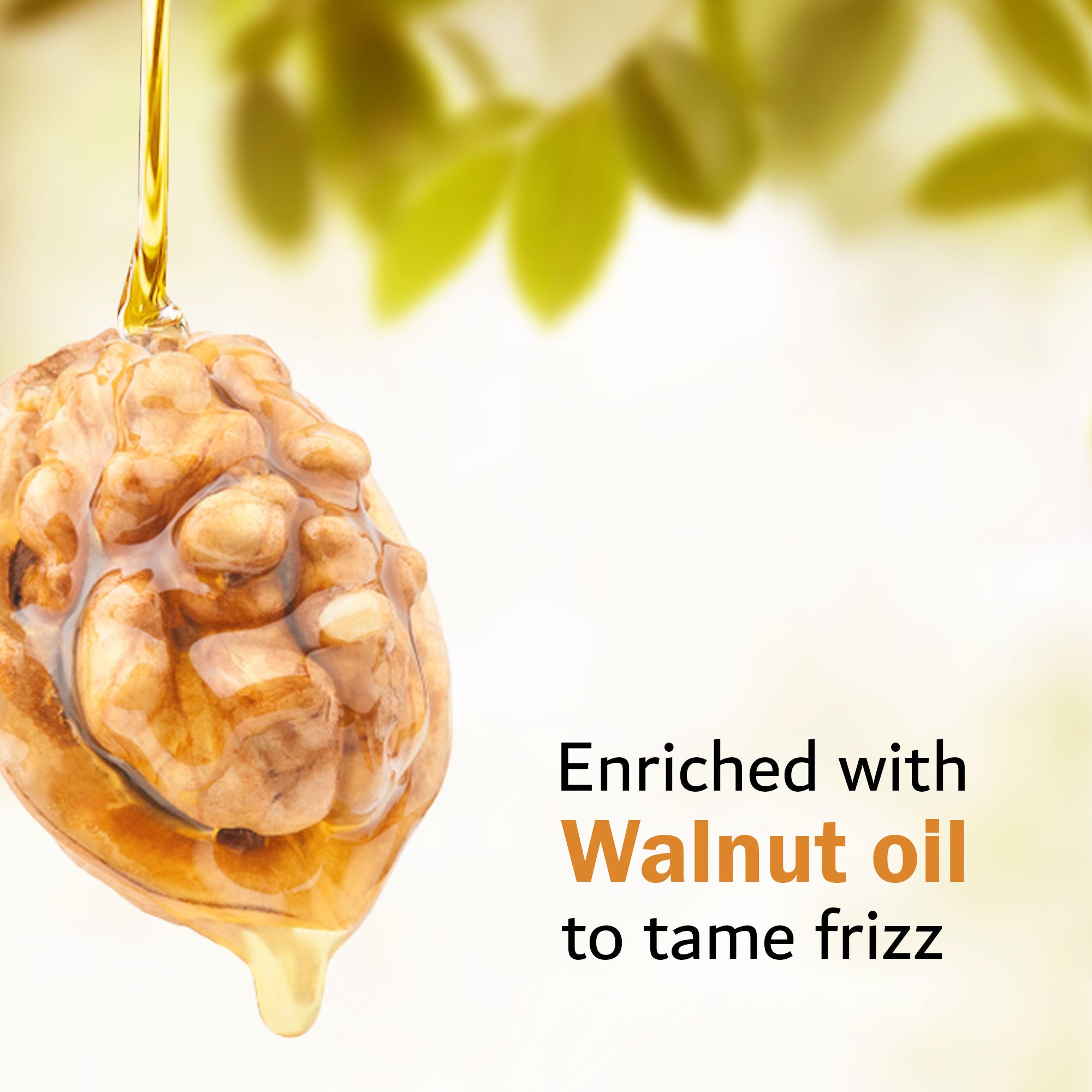 Walnut hair serum enriched with walnut oil controls frizz smooth hair 